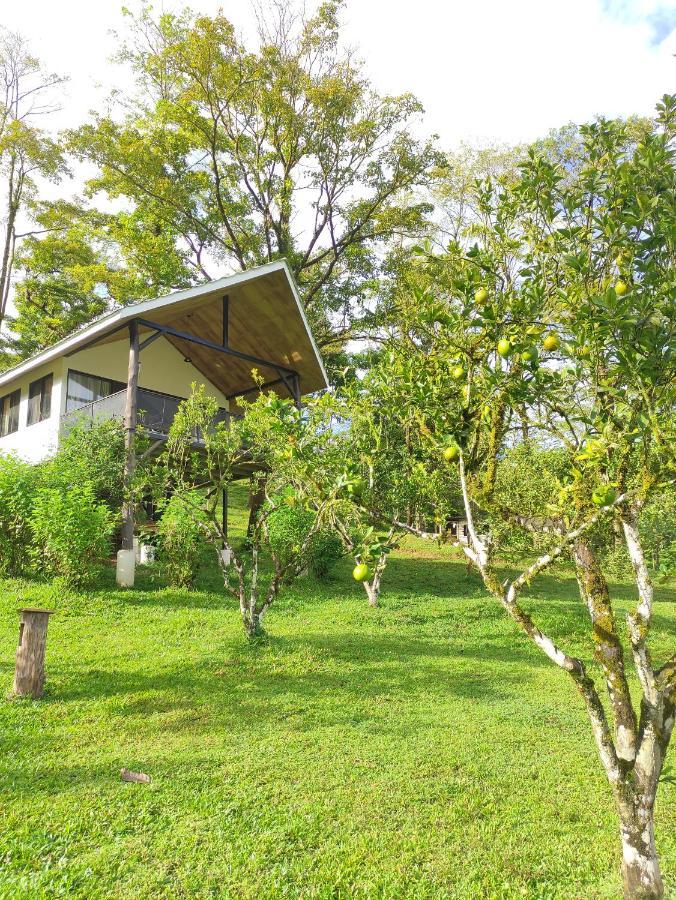 Villa Hacienda Mil Bellezas Quepos Habitación foto